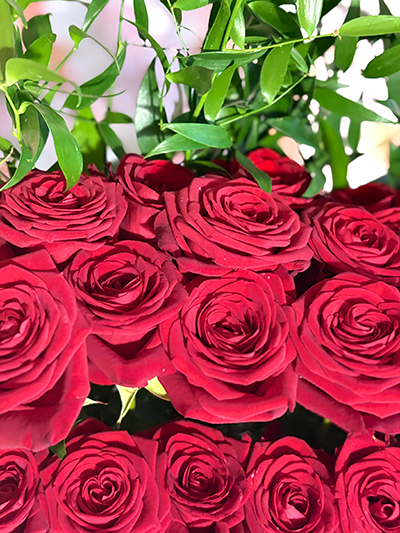 Flower Box - Box Carrée